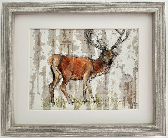 Stag - Somerset Trio