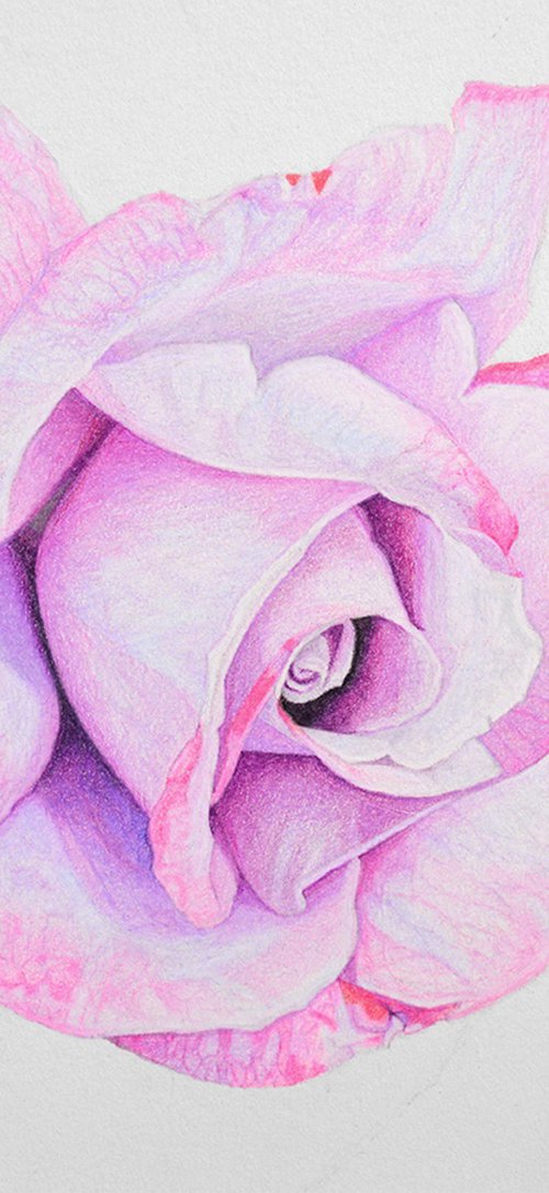 Soft Bloom by Paramjeet Kaur