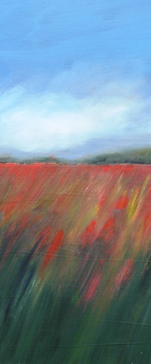 Field of Poppies 6 by Jan Rippingham