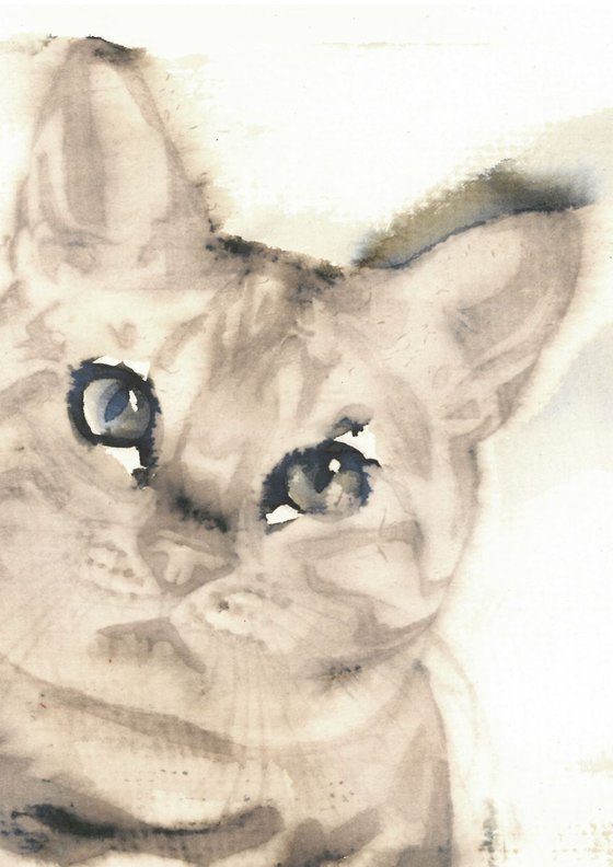 Cat | Animal Painting