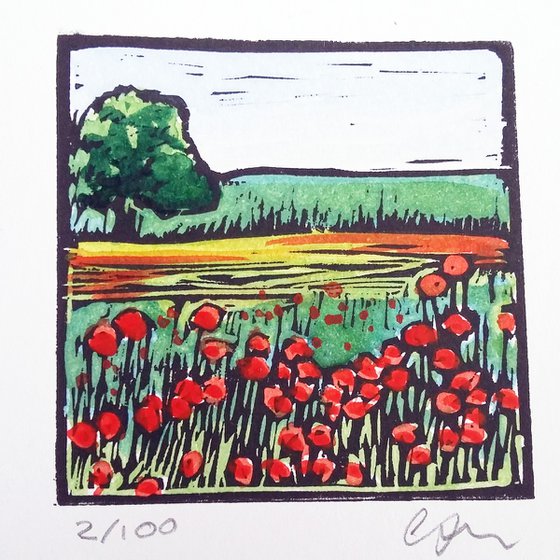 Poppies