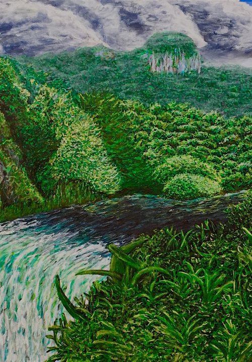 Amazon Jungle by Robbie Potter