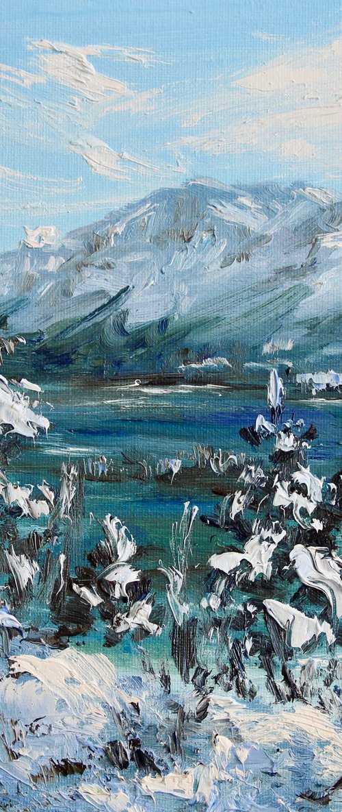 Frost on the Pines by Liza Illichmann