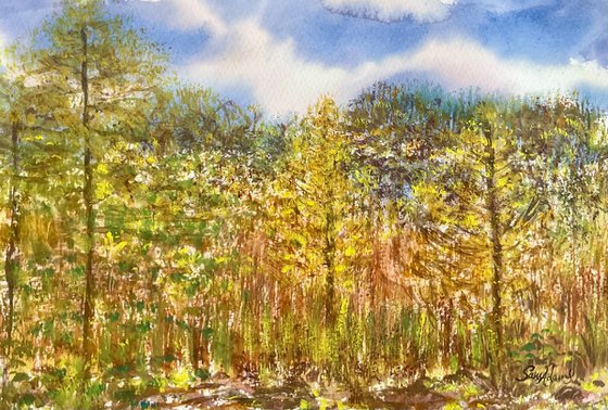 Seeing into nature