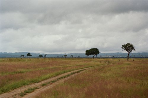 Tanzania's road by Anastassia Markovskaya