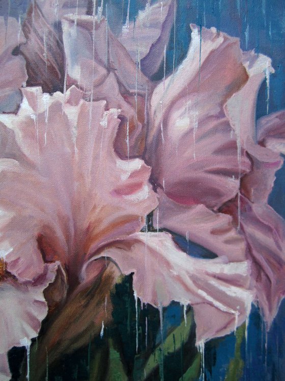 "Irises in the rain" . flowers