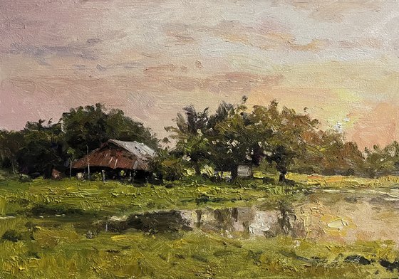 Twilight Rice Fields