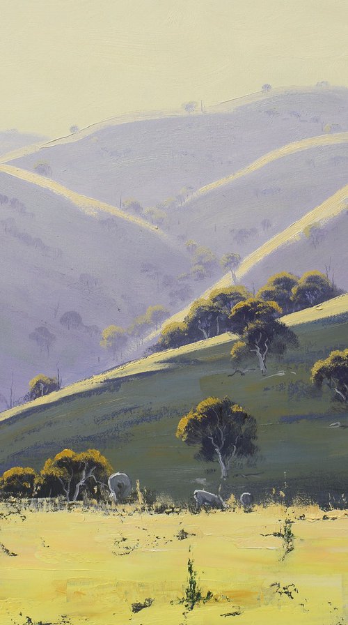Hilly landscape near Mudgee by Graham Gercken