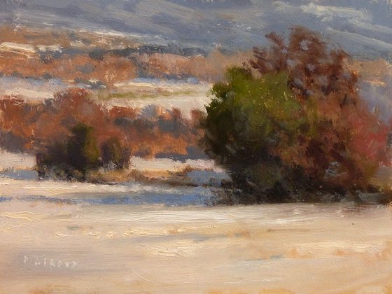 Winter Landscape in Provence