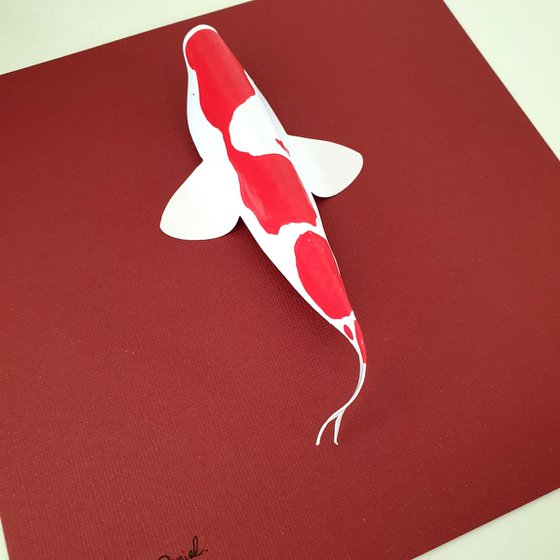 Kohaku Koi