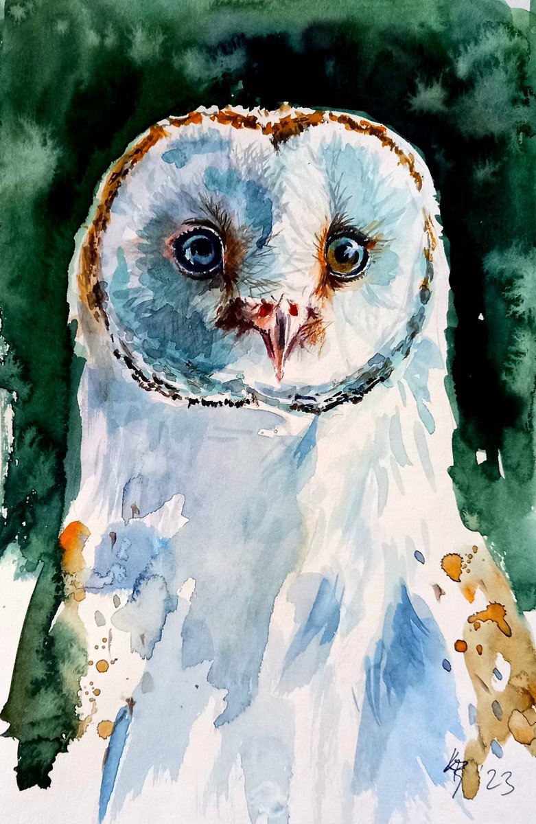 Barn owl portrait /28 x 19 cm/ by Kovcs Anna Brigitta