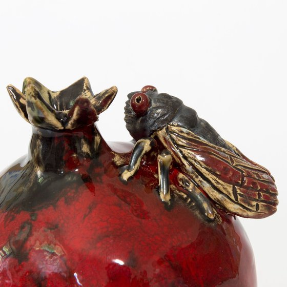 Cicada and pomegranate