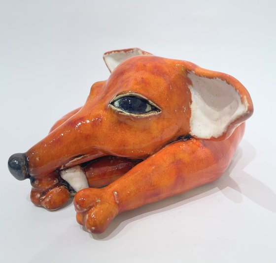 Foxy Loxy