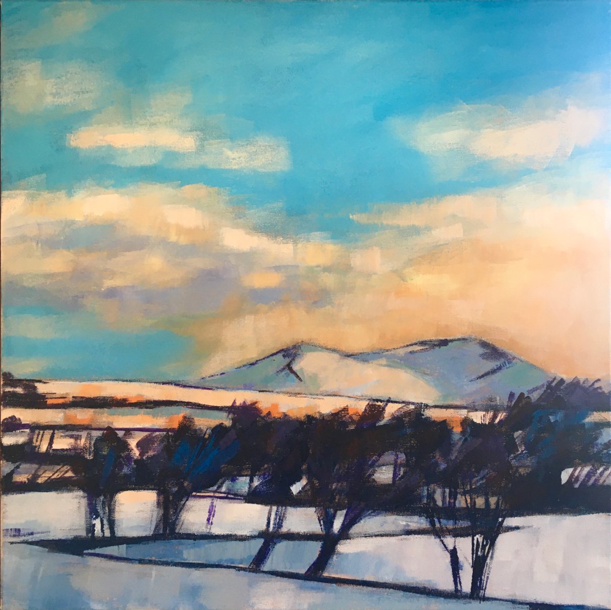 Snowy morning with Cwm-Sanaham in the distance by Stuart Roper