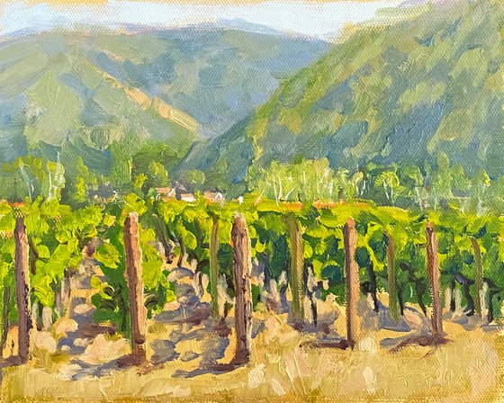 Bernardus Vineyards In Carmel Valley