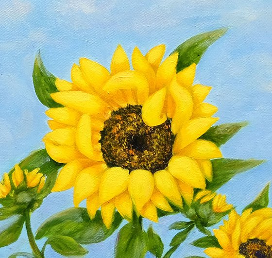 Sunflower.