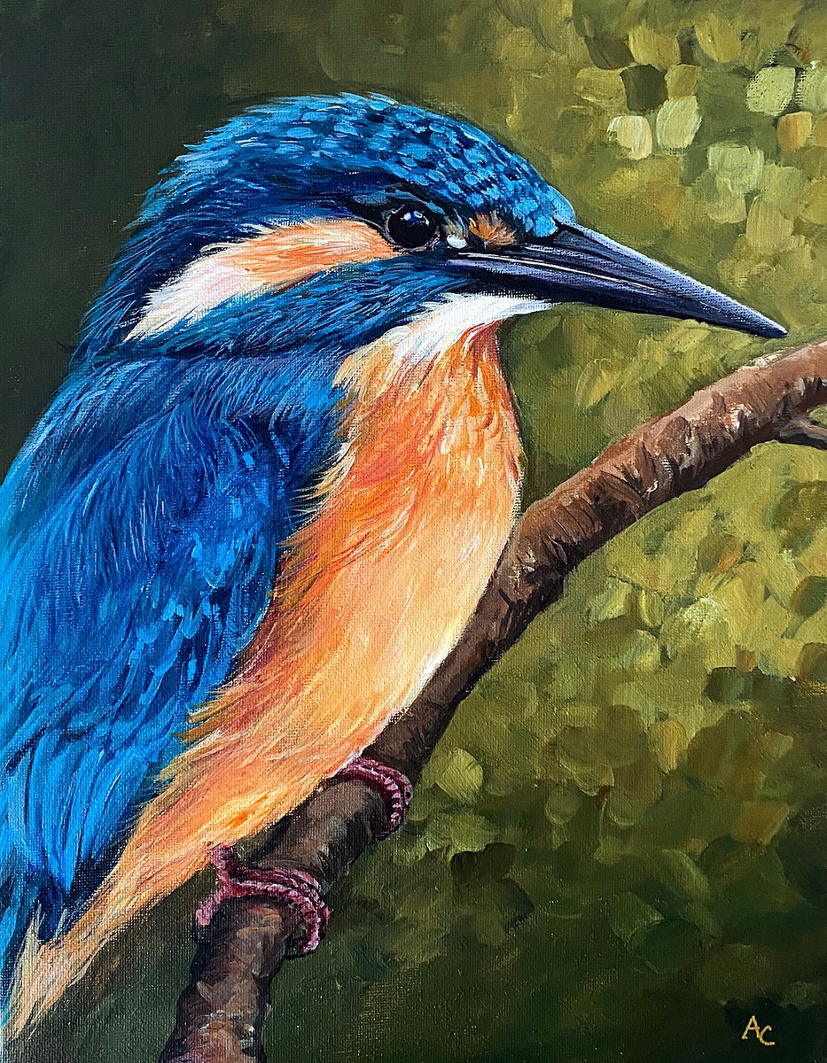 Photorealistic Animal Acrylic Painting By Arti Chauhan, 12 X 15, Kingfisher Kyle, Original Artwork