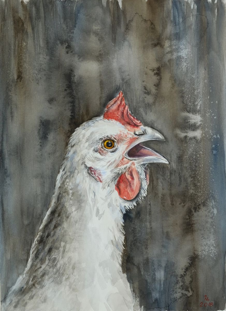 Curious chicken by Ilona Borodulina