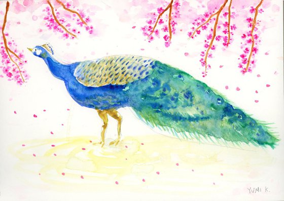 Peacock with cherry blossom