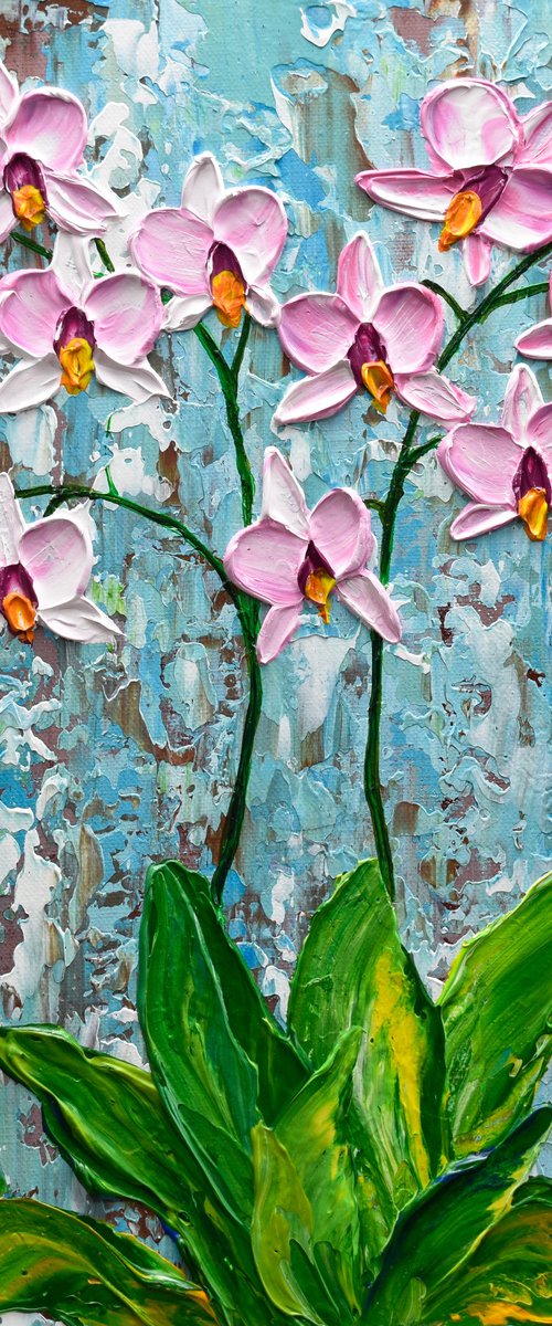 Lovely orchid by Olga Tkachyk