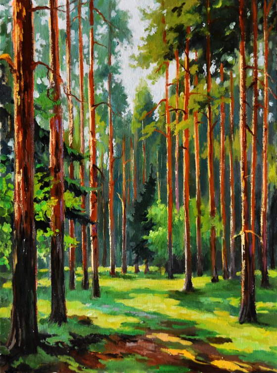 A sunny day in the pine forest