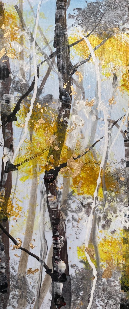 Silver Birch Trunks 1 by Teresa Tanner