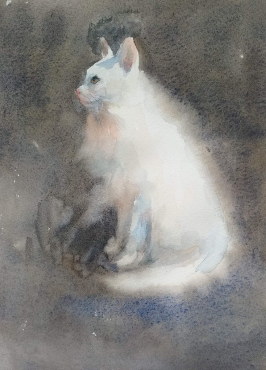 The cat by Ann Krasikova