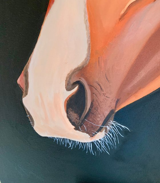 Horse with Blue Eyes - Giclee