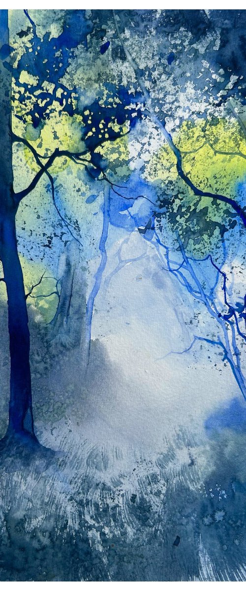 Forest landscapes by Nazar Grunyka