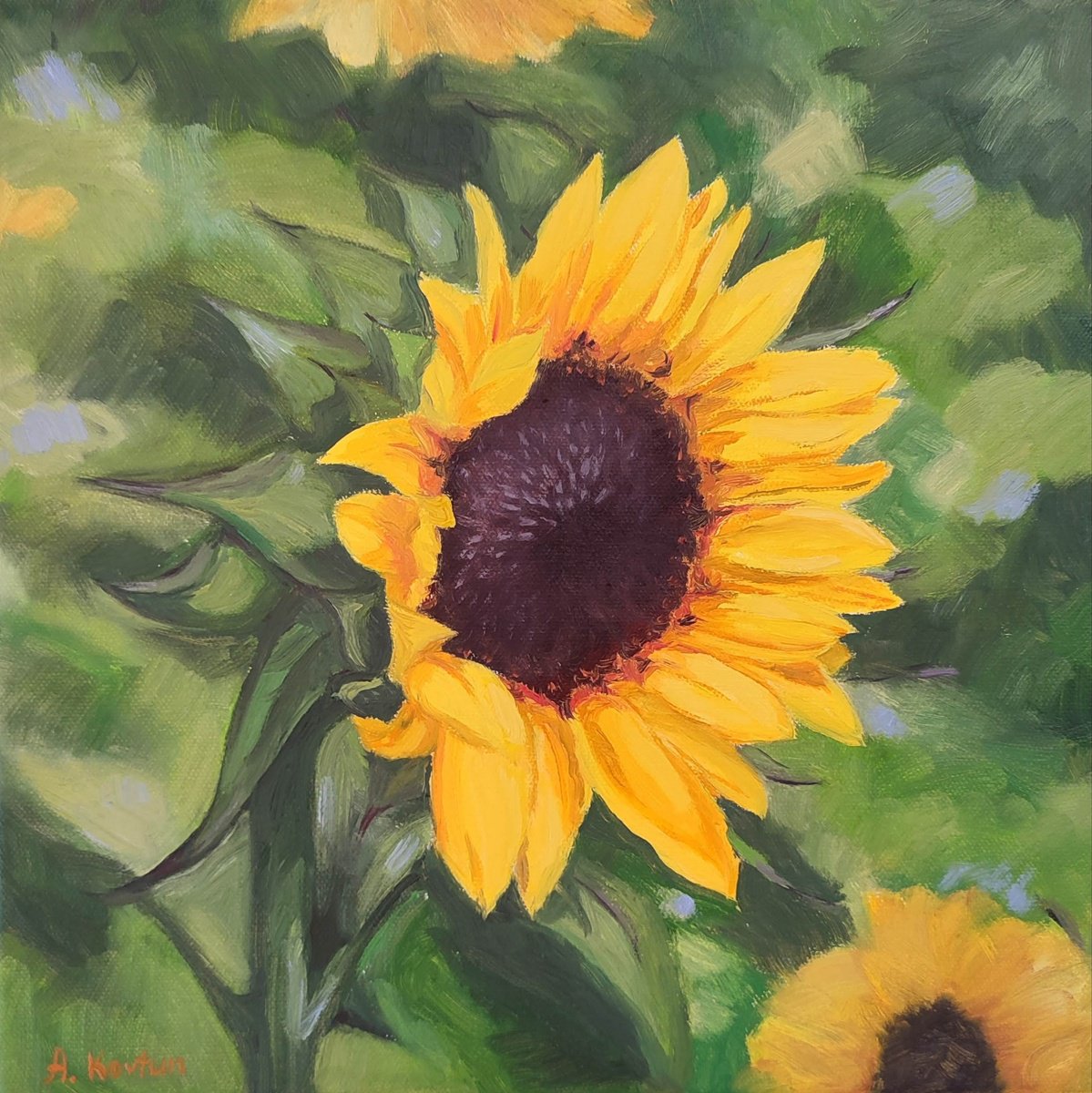 Sunflower by Assol Kovtun