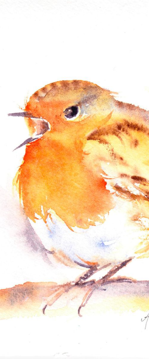 Singing Robin by Anjana Cawdell