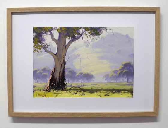 Australian Gum Tree Landscape