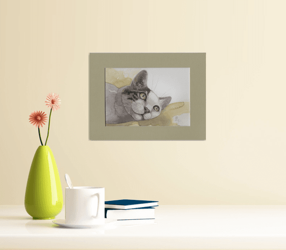 Cat's dreams * free shipping *