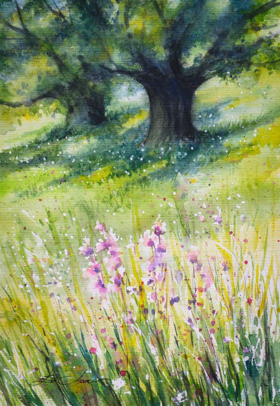Spring