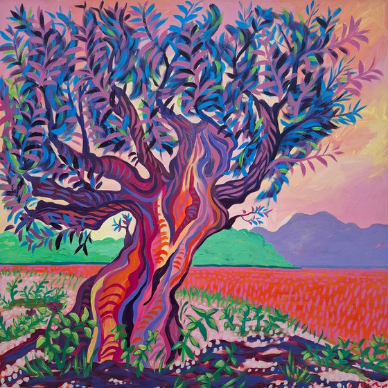 Sunset Olive Tree, Altea