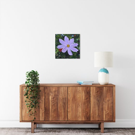 Purple Cosmos Flower