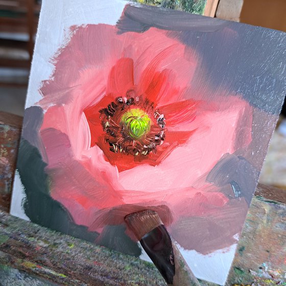 Poppy flower