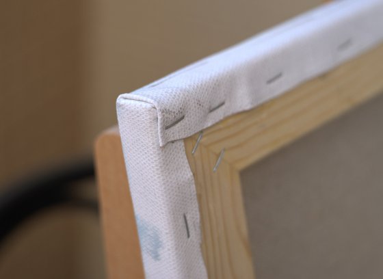 Eucalyptus near Tel Aviv