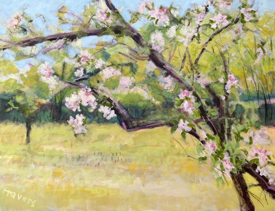 Blossom