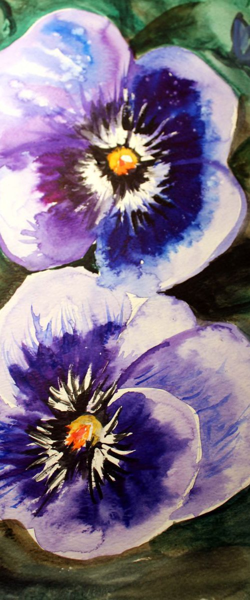 Pansies by Kate Lesinska