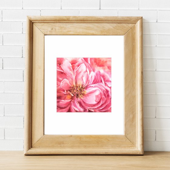 Watercolor peony, small floral painting