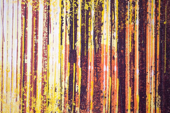Autumn Trees At Sunset