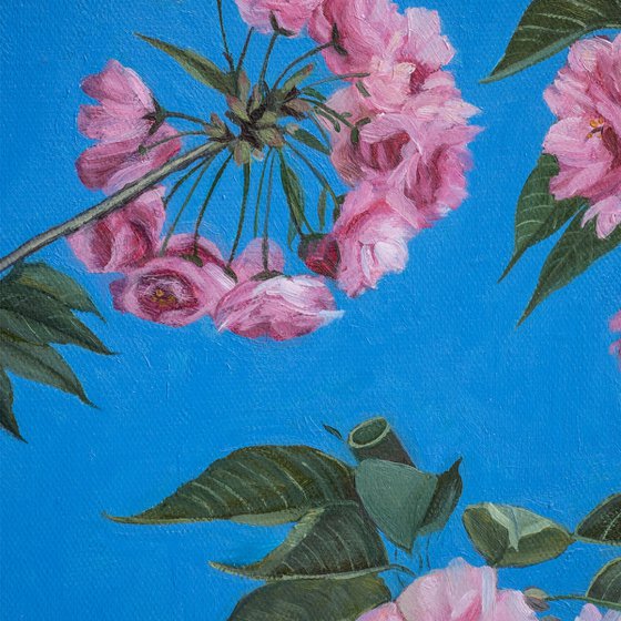 photorealism - cherry blossoms
