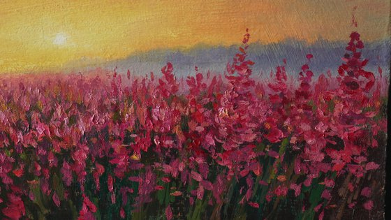 The Sunny Fireweed Field - original summer landscape painting