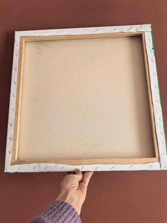 Pomegranates on plate