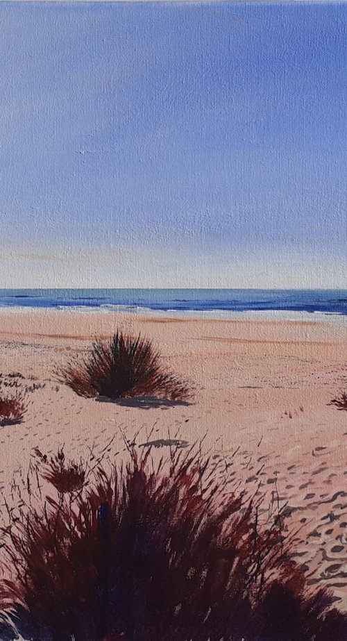 Sand Dunes by Cathal Gallagher