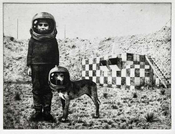 Terranaut I
