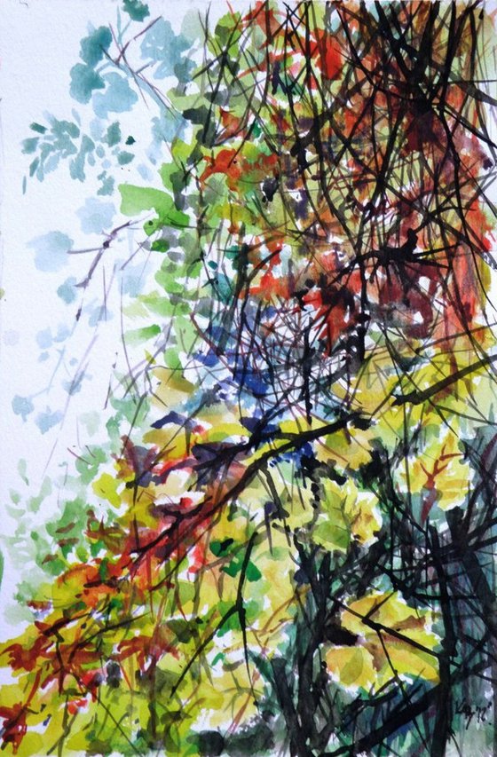 Autumn collection III