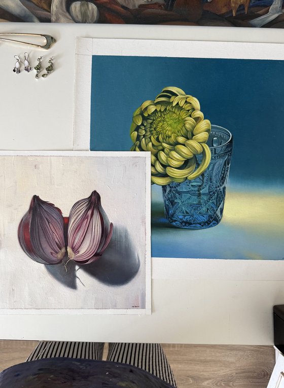 Onion. Still life
