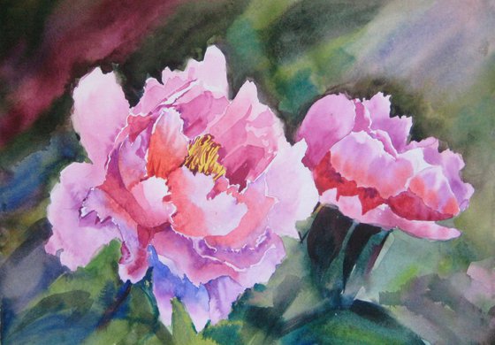 peonies